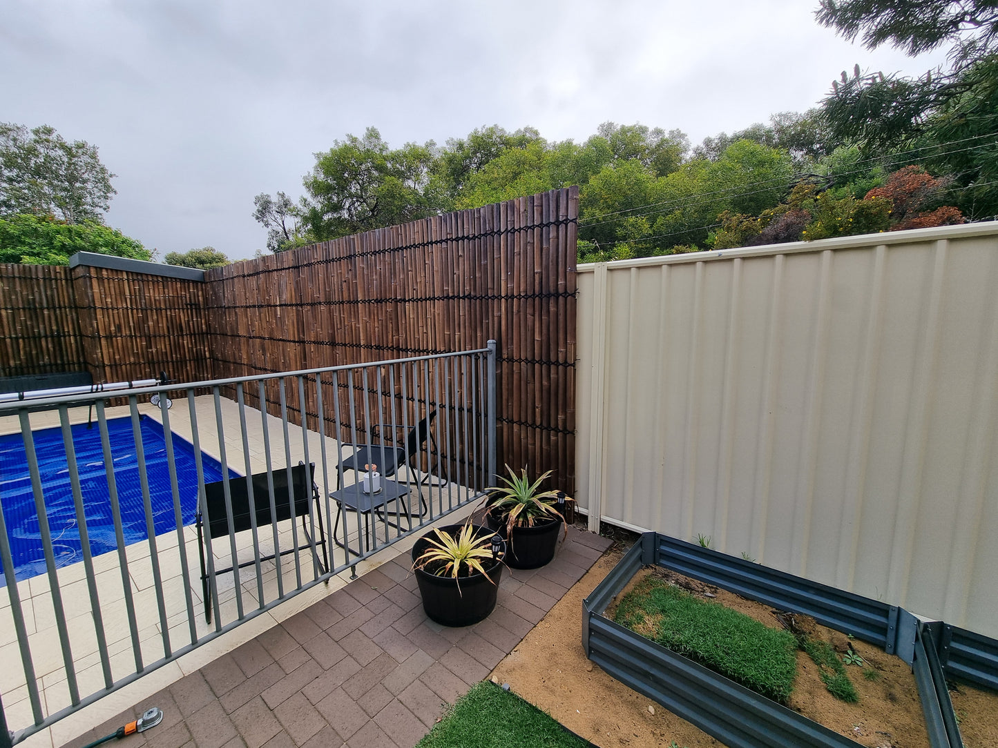 Bamboo Fence Panels Perth - Dark Colour (H2400 x W1000mm)