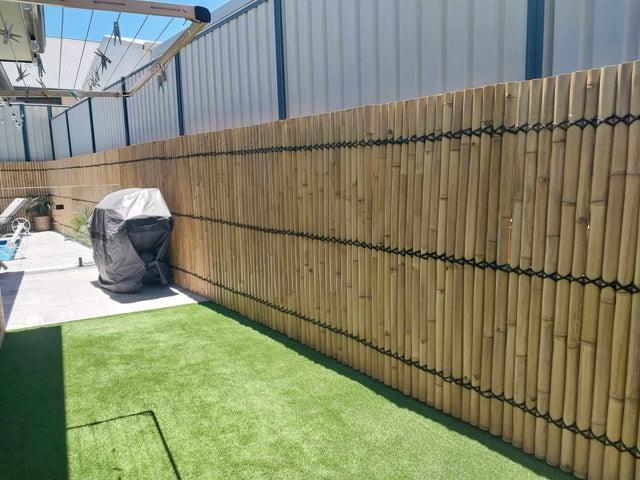 Natural Bamboo Fencing