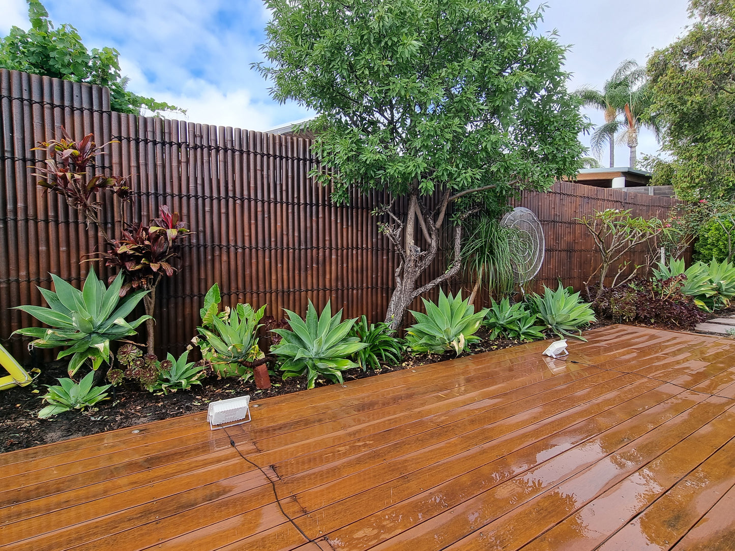 Bamboo Fence Panels Perth - Dark Colour (H2400 x W1000mm)