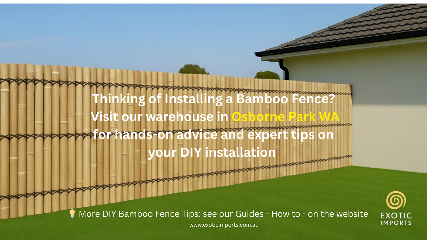 Bamboo Fence Panels Perth - Natural Colour (H2000 x W1000mm)