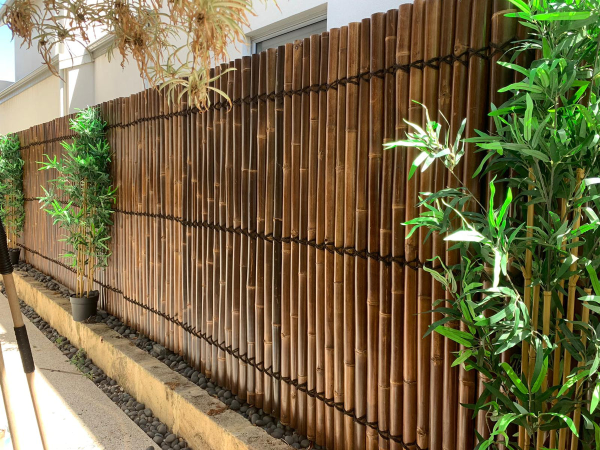 Bamboo Fence Panels Perth – 1800mm x 1000mm Dark Screening